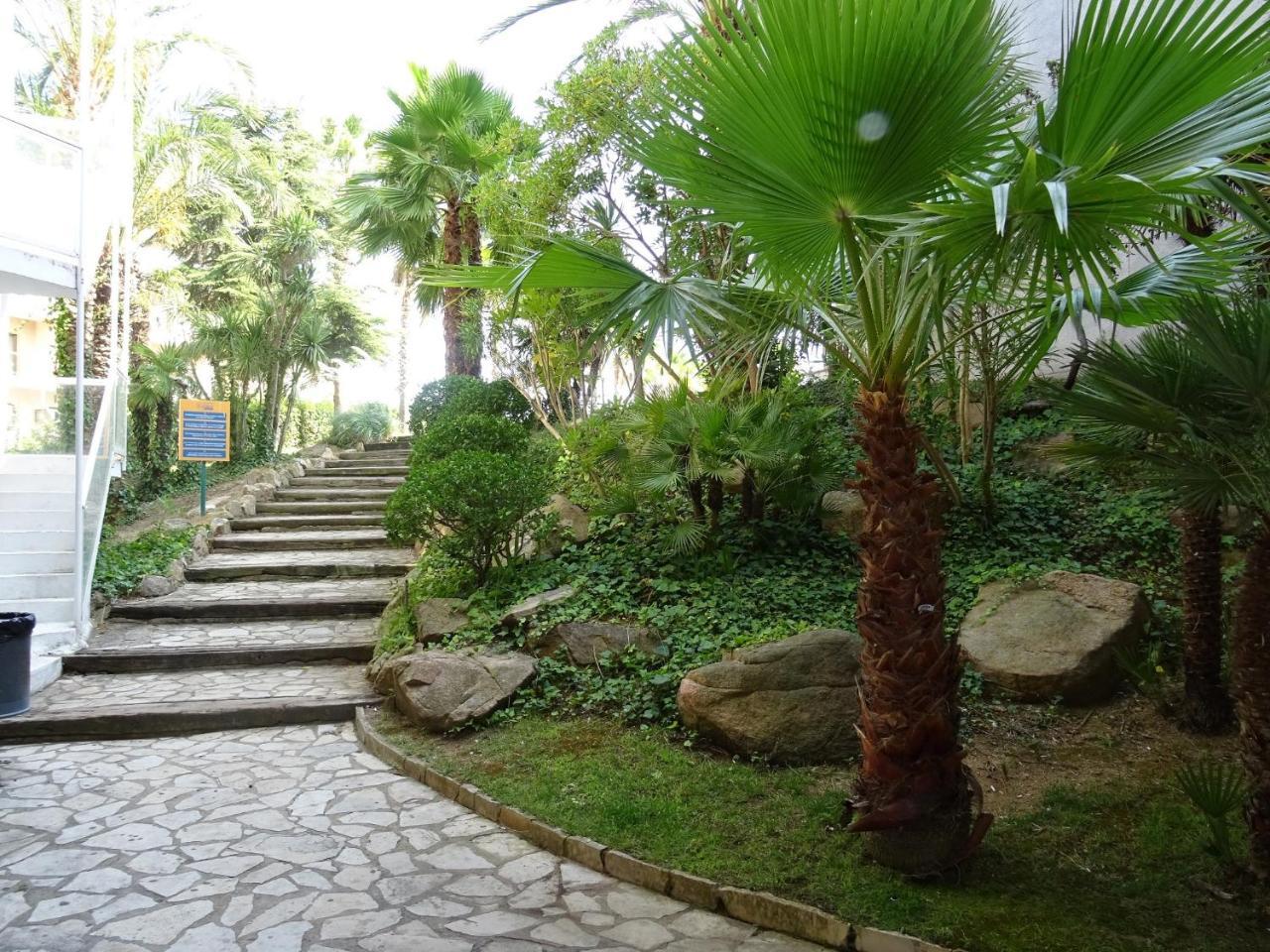 Ar Bolero Park